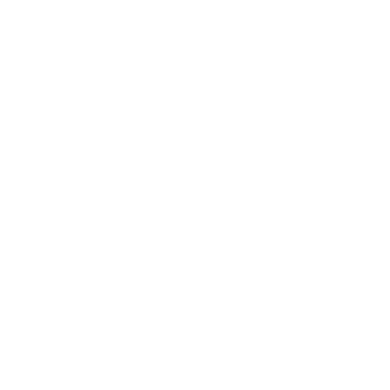 Silver Arrows Logo